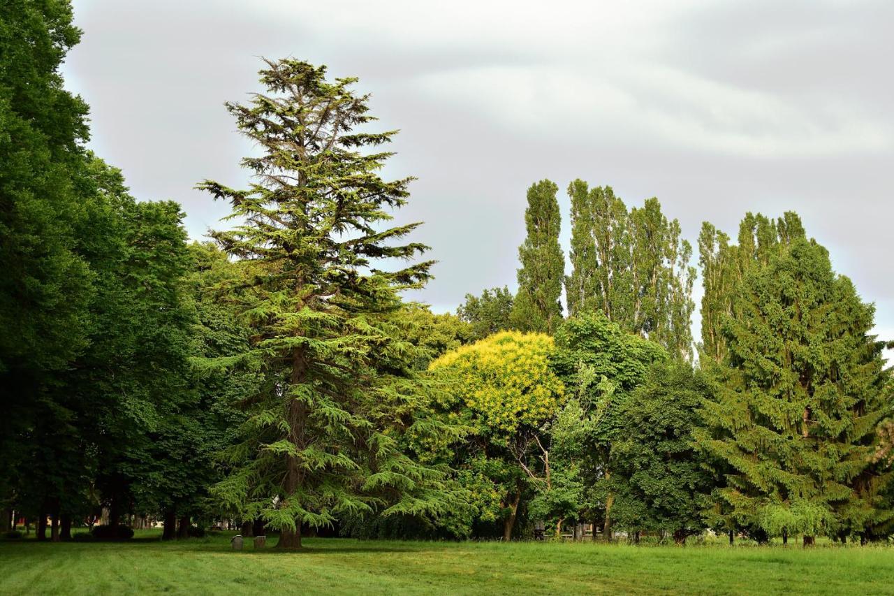 Villa Iachia Ruda Buitenkant foto